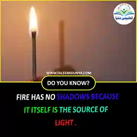 fire has no shadow